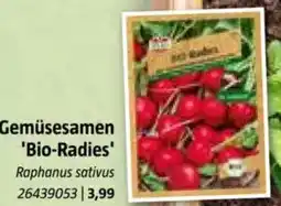 Bauhaus Gemüsesamen 'Bio-Radies Angebot