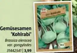 Bauhaus Gemüsesamen 'Kohlrabi Angebot