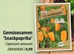 Bauhaus Gemüsesamen Gemüsesamen 'Snackpaprika' Capsicum annuum Angebot