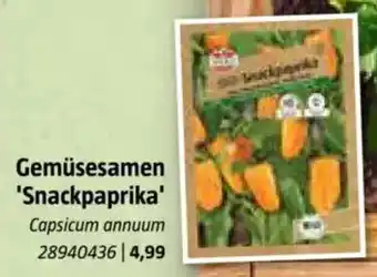 Bauhaus Gemüsesamen Gemüsesamen 'Snackpaprika' Capsicum annuum Angebot