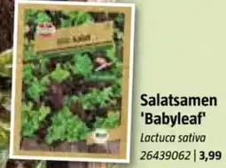 Bauhaus Salatsamen 'Babyleaf Angebot