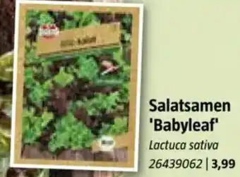 Bauhaus Salatsamen 'Babyleaf Angebot