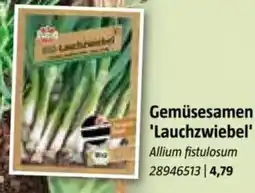 Bauhaus Gemüsesamen 'Lauchzwiebel Angebot