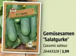Bauhaus Gemüsesamen 'Salatgurke Angebot