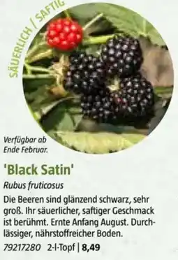 Bauhaus Black Satin Angebot