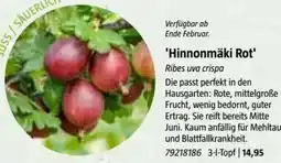 Bauhaus Hinnonmäki Rot Angebot