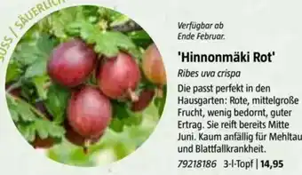 Bauhaus Hinnonmäki Rot Angebot