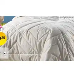Reiter Leinen-Baumwolldecke F2639201 Betten Reiter Angebot