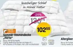 Reiter Sommer-Daunendecke Herta Angebot