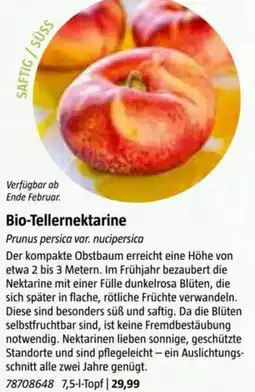Bauhaus Bio-Tellernektarine Angebot