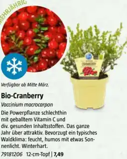 Bauhaus Bio-Cranberry Angebot