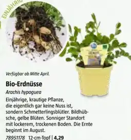 Bauhaus Bio-Erdnüsse Angebot