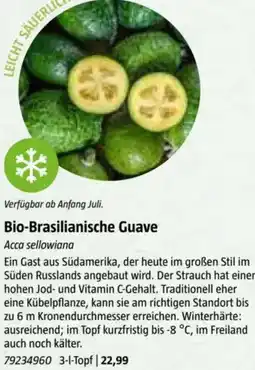 Bauhaus Bio-Brasilianische Guave Angebot