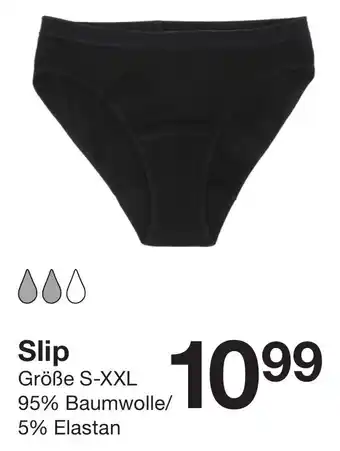Zeeman Slip Angebot