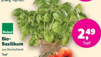 Denn's Biomarkt Bio Basilikum Angebot