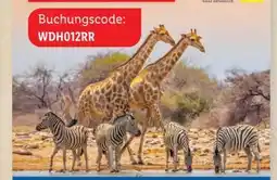 Lidl Lidl-Reisen Namibia-Rundreise Angebot