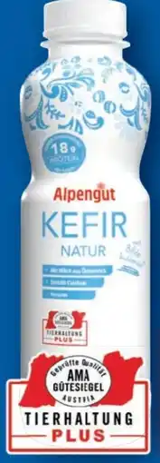 Lidl Alpengut Kefir Angebot