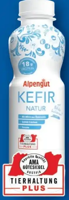 Lidl Alpengut Kefir Angebot