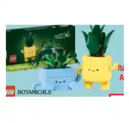 Maximarkt Spielzeug 10349 Fröhliche Pflanzen Maximarkt Angebot