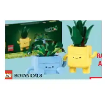 Maximarkt Spielzeug 10349 Fröhliche Pflanzen Maximarkt Angebot