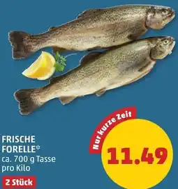 PENNY Frische forelle Angebot