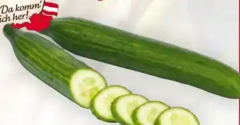 Billa Da komm' ich her Gurken Angebot