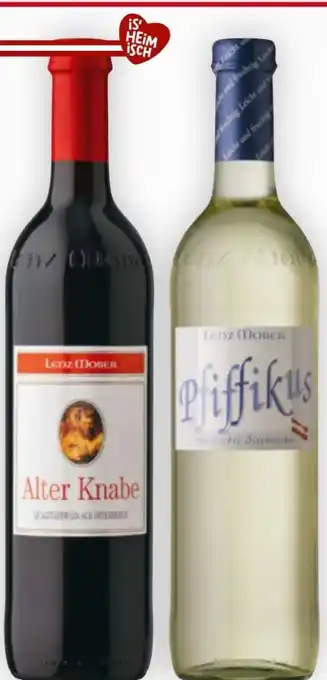 Billa Lenz Moser Pfiffikus Angebot