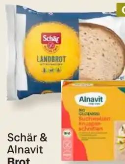 MPreis Alnavit Bio-Buchweizenbrot Angebot