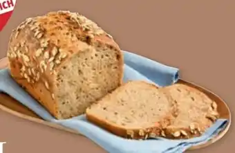 PENNY Echt Bio Dinkelsauerteigbrot Angebot