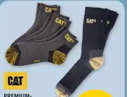 PENNY CAT Premium-Arbeitssocken Angebot