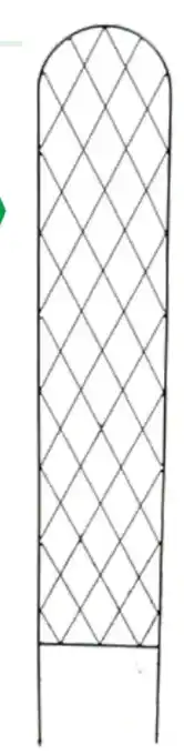 Lagerhaus Zierspalier Angebot