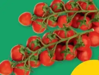 PENNY Echt Bio Kirschtomaten Angebot