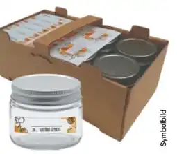 Lagerhaus Kostbarmacher Pflückkorb-Set Myrex Angebot