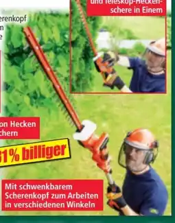 Norma Walter Akku-Heckenschere Angebot