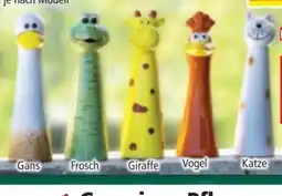 Norma Giardessa Lustiger Keramik-Gartengucker Angebot