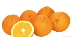 Transgourmet Natura Bio Pressorangen Angebot