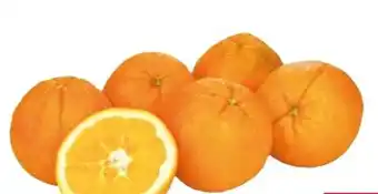 Transgourmet Natura Bio Pressorangen Angebot