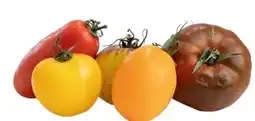 Transgourmet Cook Tomatenmix Saveurs D`antan Angebot