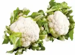 Transgourmet Karfiol Angebot