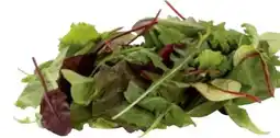 Transgourmet Pflücksalat Oriental Angebot