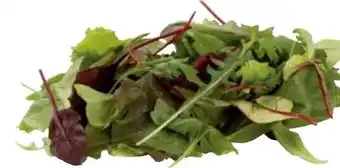 Transgourmet Pflücksalat Oriental Angebot