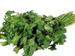 Transgourmet Natura Bio-Petersilie Angebot