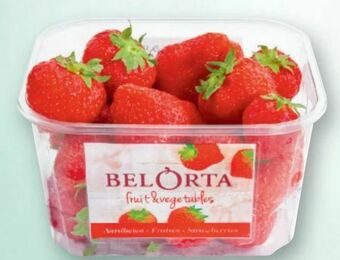 Metro Erdbeeren Angebot