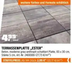OBI Terrassenplatte ester Angebot