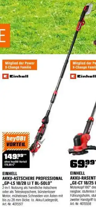 OBI Einhell akku-astschere professional Angebot