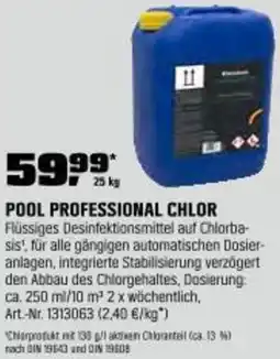 OBI Pool professional chlor Angebot