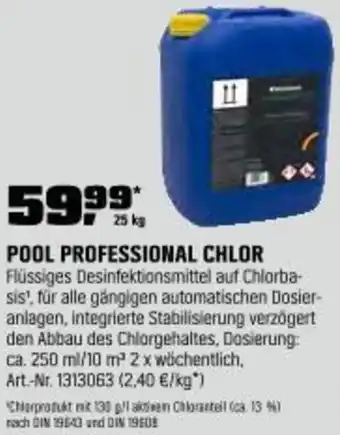 OBI Pool professional chlor Angebot