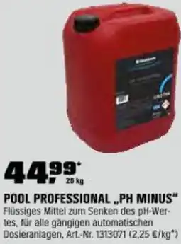 OBI Pool professional ph minus Angebot