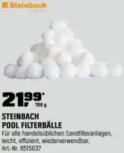 OBI Steinbach pool filterbälle Angebot