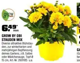 OBI Grow by obi stauden mix Angebot